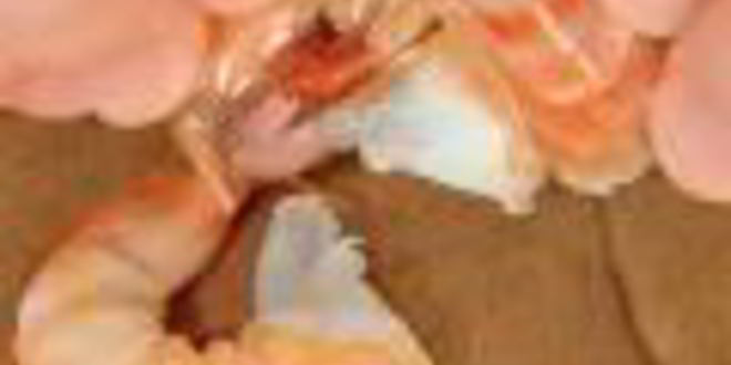 Рецепт суп из брокколи с креветками и крутонами