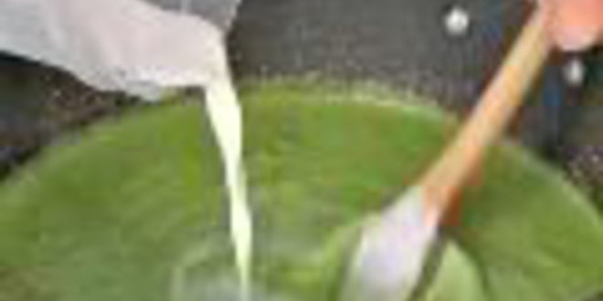 Рецепт суп из брокколи с креветками и крутонами