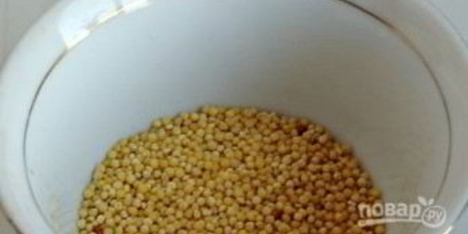 Рецепт суп из гусятины