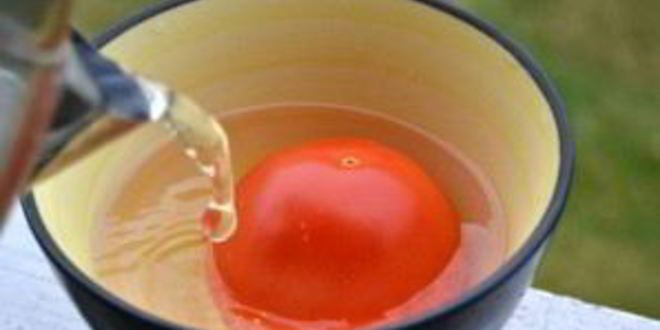 Рецепт суп из кеты