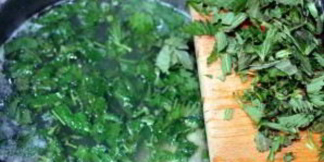 Рецепт суп из крапивы с мясом