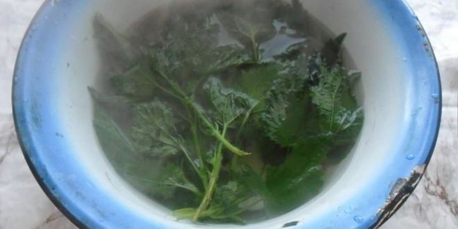 Рецепт суп из крапивы с яйцом и мясом