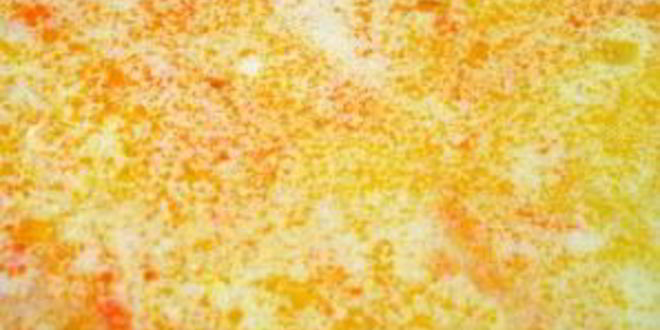 Рецепт суп из плавленых сырков в мультиварке