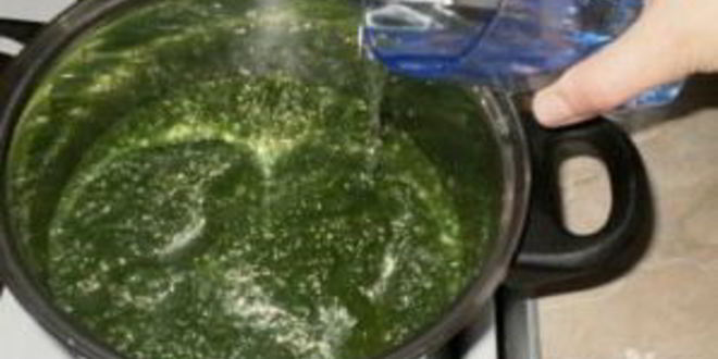 Рецепт суп из шпината с яйцом