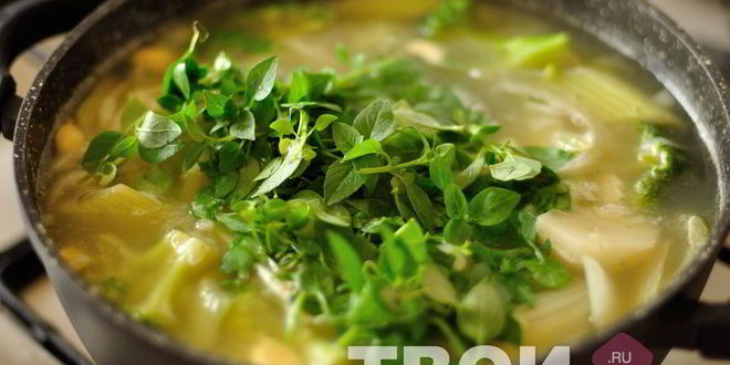 Рецепт овощной суп-пюре с базиликом