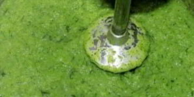 Рецепт суп-пюре из брокколи и кабачков