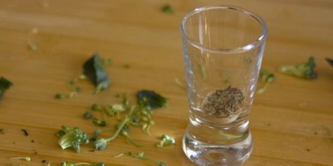 Рецепт суп-пюре из брокколи