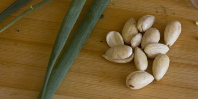 Рецепт суп-пюре из брокколи