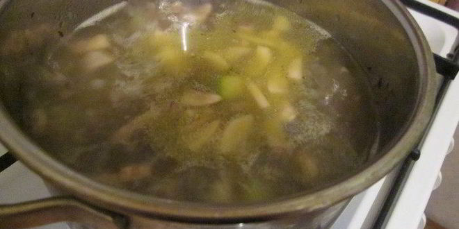 Рецепт суп-пюре с цукини и грибами