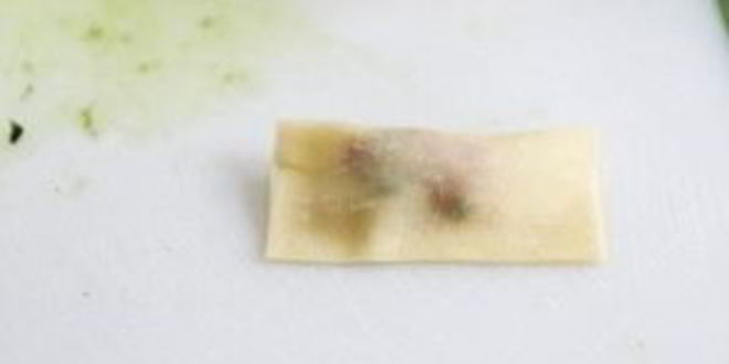 Рецепт суп с вонтонами