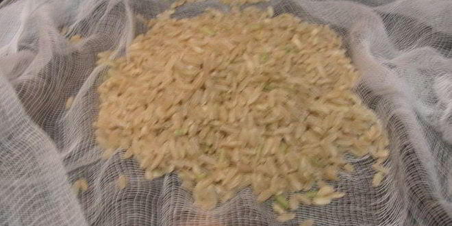 Рецепт суп xамин