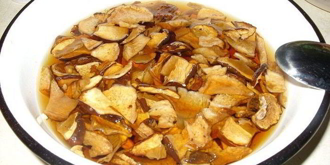 Рецепт супчик из белых грибов