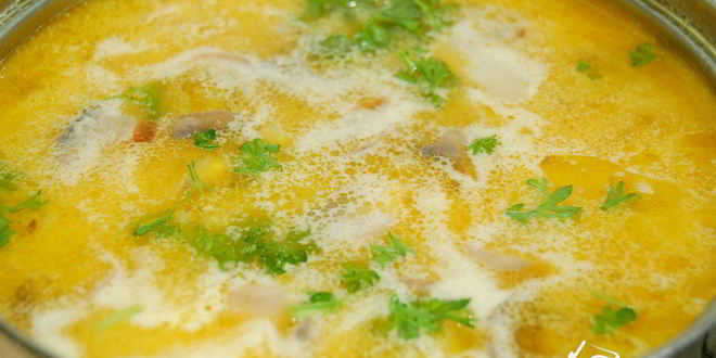 Рецепт сырный суп с шампиньонами