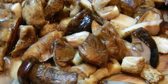 Рецепт блинчики с лесными грибами