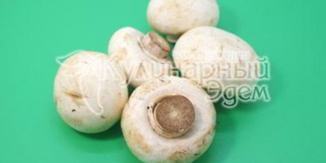 Рецепт фаршированные блины с грибами и сыром