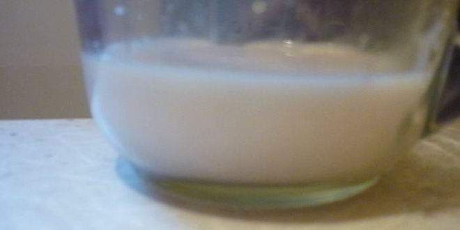 Рецепт булочки и рогалики зебра с шоколадной прослойкой