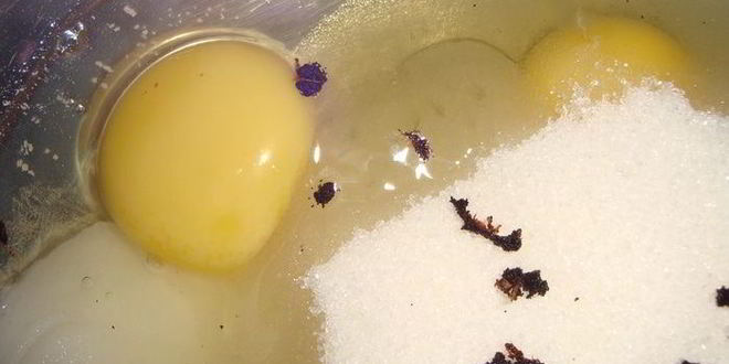 Рецепт домашние плюшки