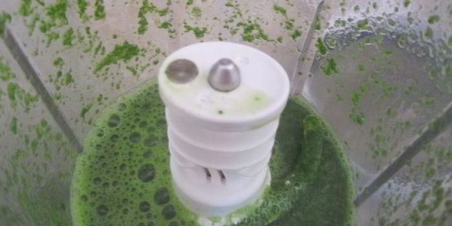 Рецепт шпинатно-ржаные булочки