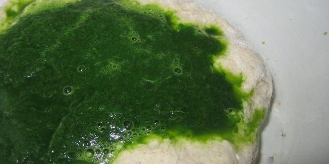 Рецепт шпинатно-ржаные булочки