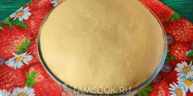 Рецепт ватрушки из дрожжевого теста с творогом