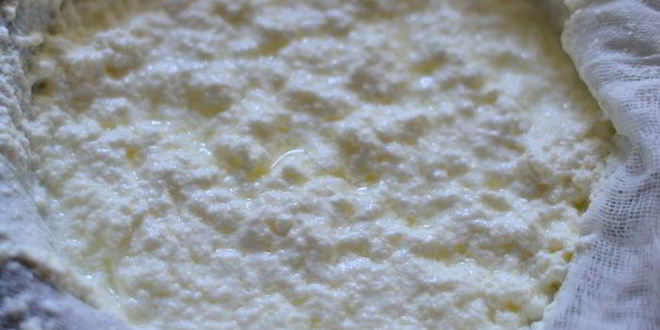 Рецепт чизкейк даниэль