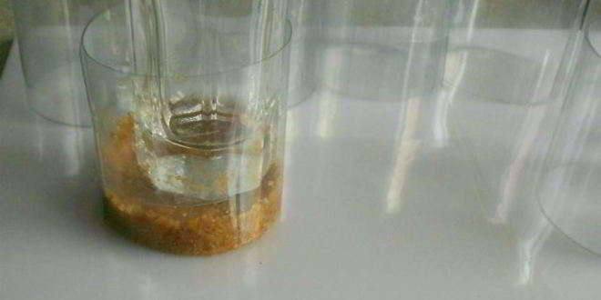 Рецепт тройные ягодные чизкейки