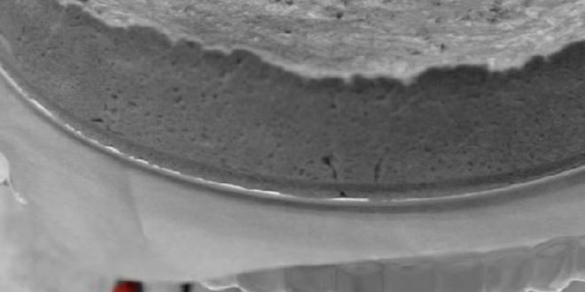 Рецепт творожный чизкейк с абрикосами