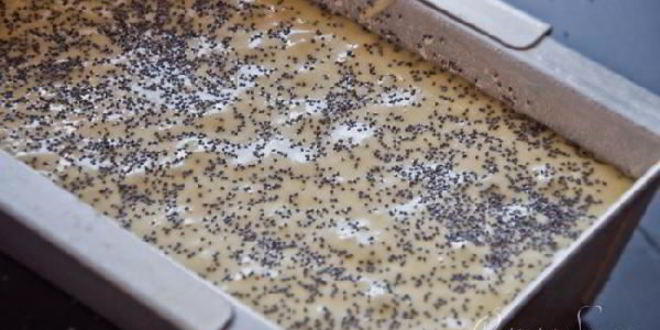 Рецепт кекс на оливковом масле с яблочным пюре и маком