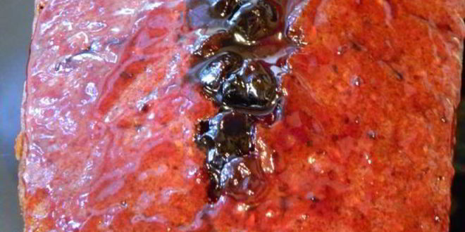 Рецепт кекс с шоколадом и красным вином