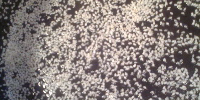 Рецепт кекс трио