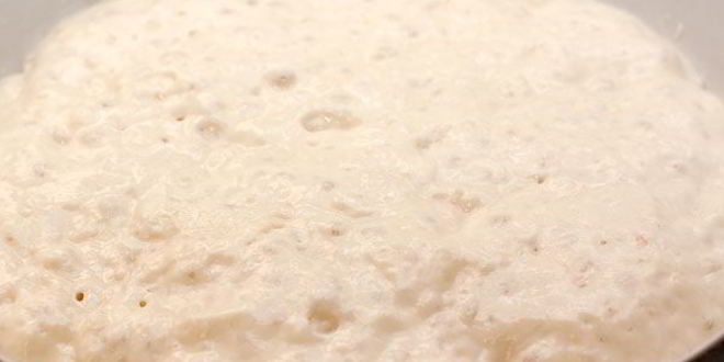 Рецепт чиабатта без замеса