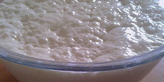 Рецепт чиабатта сельская аристократка