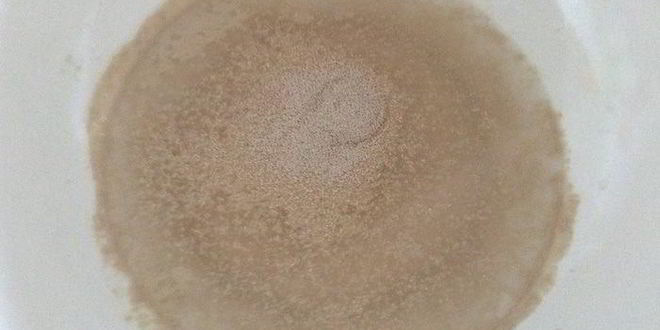 Рецепт капустный хлеб следы фредди