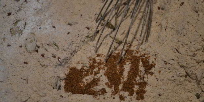 Рецепт ржаной хлеб с тыквенными и льняными семечками