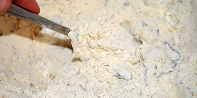 Рецепт бездрожжевая кефирная лепешка с фундуком и черносливом