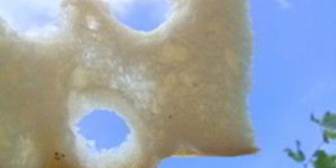 Рецепт фокачча классическая