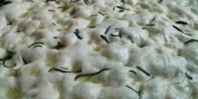 Рецепт фокачча классическая