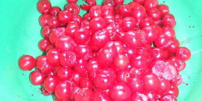 Рецепт фокачча с вишней xxl