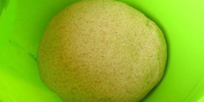 Рецепт фокачча цельнозерновая принцесса специй