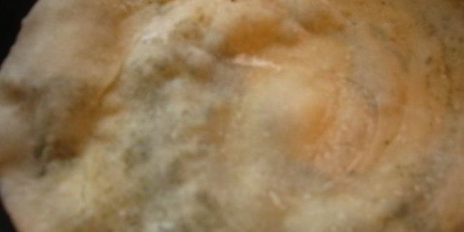 Рецепт хлеб-лепешка с ореховой травой