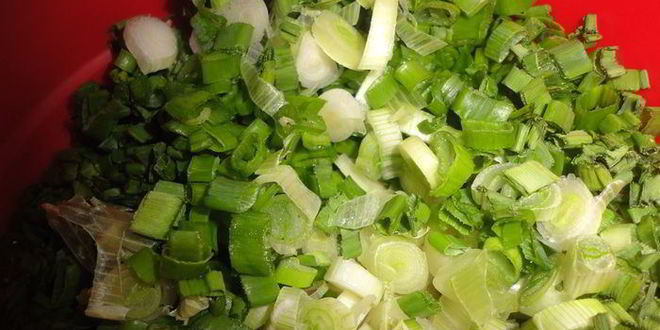 Рецепт луковая лепешка