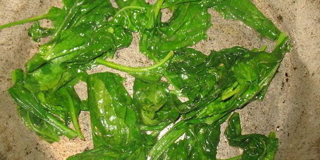 Рецепт пита со шпинатом