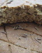 Постные ржаные лепешки