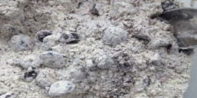 Рецепт маффины с вишней