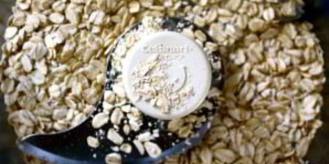 Рецепт оладушки из овсянки