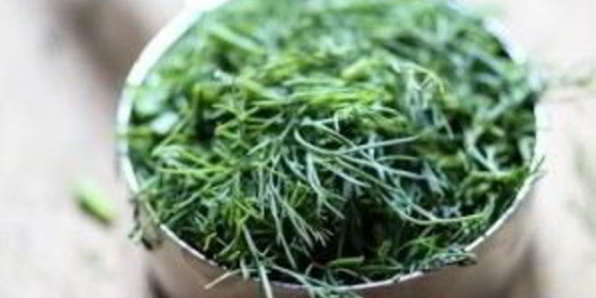 Рецепт оладьи из цуккини