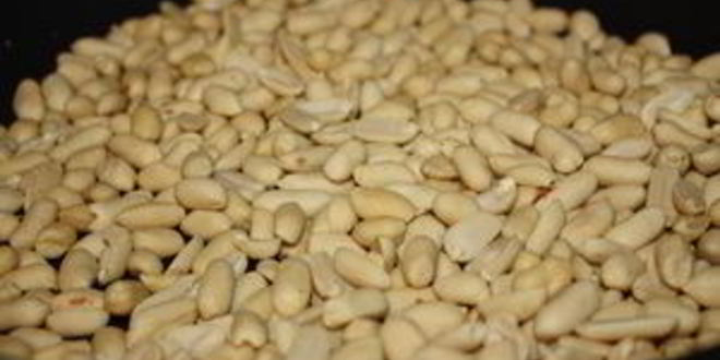 Рецепт арахисовое печенье