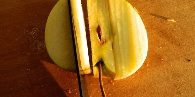 Рецепт печенье чарох