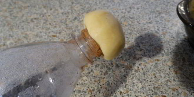 Рецепт печенье грибочки шампиньоны