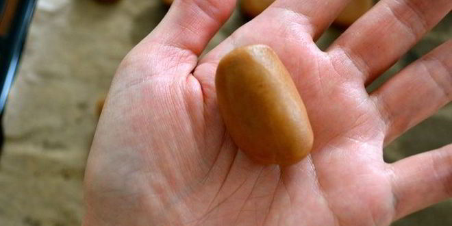 Рецепт печенье кофейные зерна